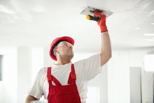 Best Emergency Mold Remediation  in USA